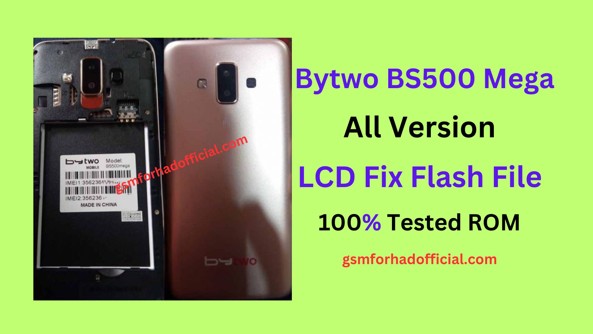 Bytwo BS500 Mega Flash File